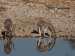 namibia-9-188.jpg