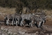 namibia10 049.jpg