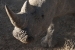 namibia2 187.jpg