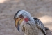 namibia8 249.jpg