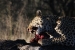 namibia9 010.jpg
