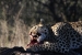 namibia9-019.jpg