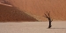 tree_0.jpg