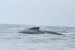 20120819-IMG_4723-2