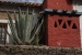 Sucre 048.jpg