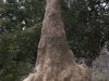 Selous National Park 320080722_0139.jpg