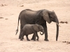 Selous National Park 320080722_0140.jpg
