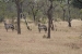 sable mountain lodge Tanzania 196.jpg