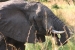 tanzania 1 027.jpg