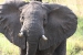 tanzania 1 040.jpg