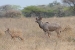 tanzania 4 063.jpg