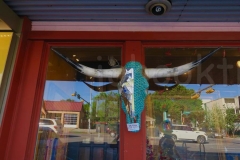thumb_20170330_Austin Texas_0338_1024