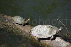 thumb_20170401_Austin Texas_0023_1024