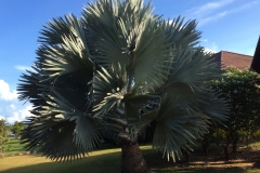 20150507_5696