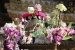 chang-mai-171.jpg