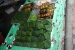 koh-phi-phi-292.jpg