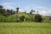mae-hong-son-274.jpg