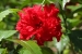 mae-hong-son-281.jpg