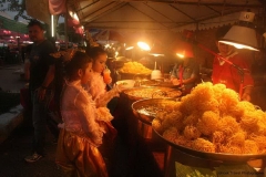 Chiang-Mai-2-2011-016