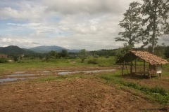Pai-039