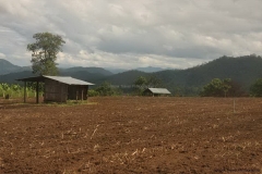 Pai-056