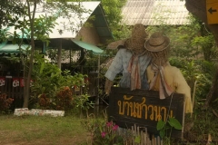 Pai-1-046