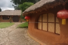 Pai-194