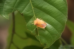 Trekking-Chiang-Mai-093