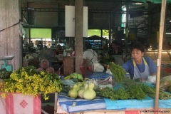Trekking-Chiang-Mai-300