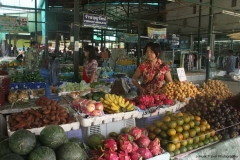 Trekking-Chiang-Mai-305