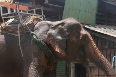 Trekking-Chiang-Mai-309
