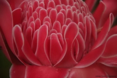 Trekking-Chiang-Mai-515