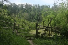 Trekking-Chiang-Mai-532