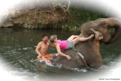 vanessa-elephant-2_20150411_1959