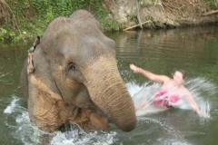 vanessa-elephant-2_20150411_2180