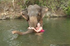 vanessa-elephant-2_20150411_2209