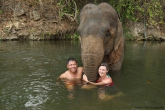vanessa-elephant-2_20150411_2227