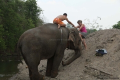 vanessa-elephants_20150411_1873