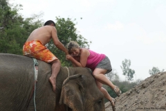 vanessa-elephants_20150411_1886