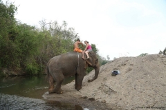 vanessa-elephants_20150411_1893