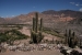 Cafayate and Tilcara 090.jpg