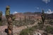 Cafayate and Tilcara 111.jpg
