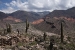 Cafayate and Tilcara 134.jpg