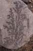 Cafayate and Tilcara 194.jpg