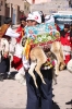 Tipon and Urcos 464.jpg