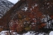 torres-del-paine-1-233