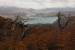 torres-del-paine-1-787