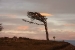 estancia-harburton-ushuaia-258