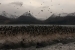 ushuaia-1-157