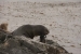 ushuaia-1-270